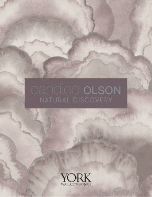 Candice olsen natural discovery